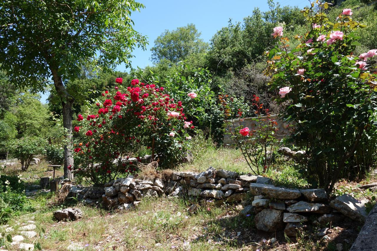 Andrea Sofi Guesthouse Dimitsana Esterno foto