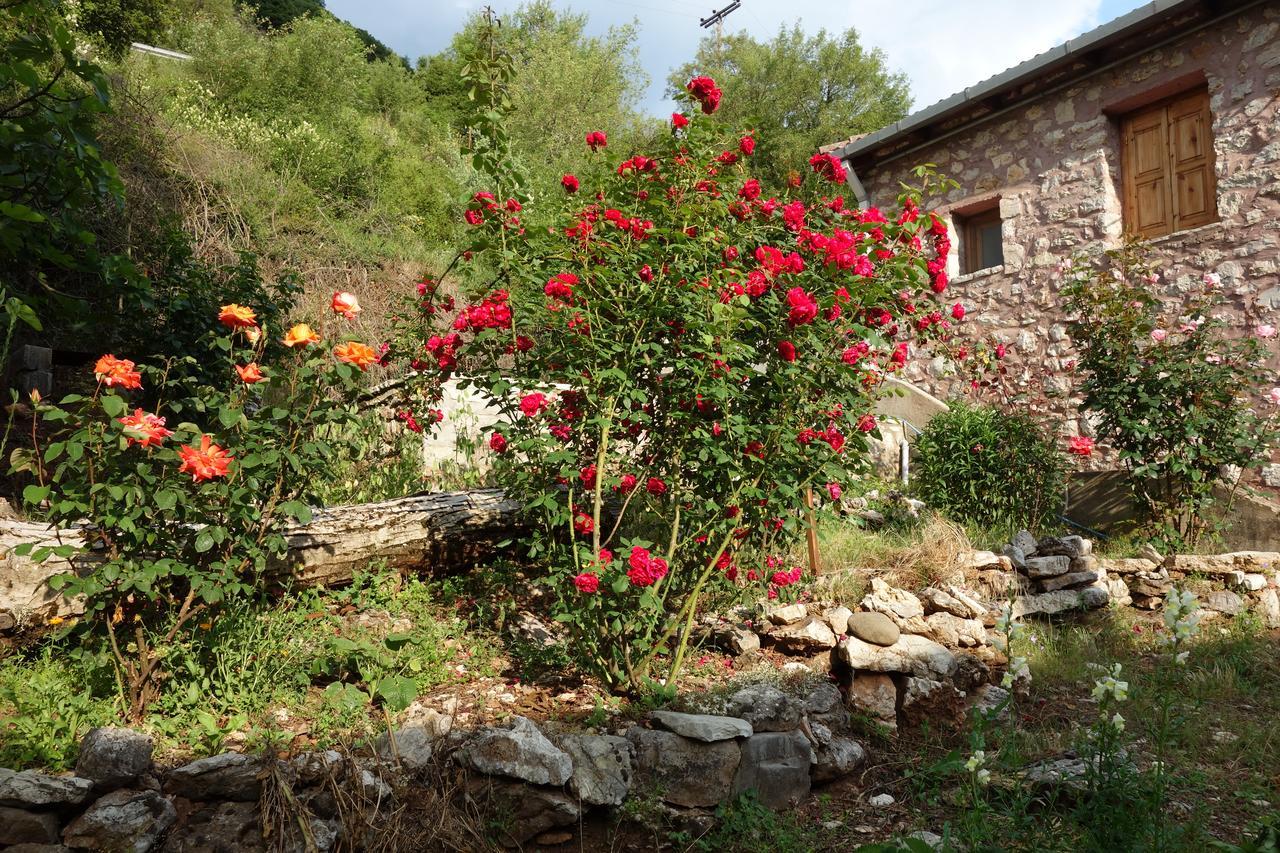 Andrea Sofi Guesthouse Dimitsana Esterno foto